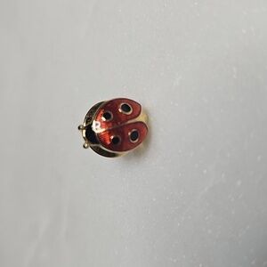 Red and Gold Ladybug Brooch From AVON